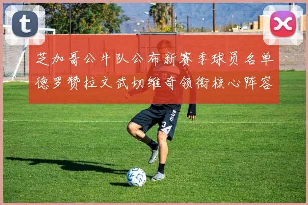 芝加哥公牛队公布新赛季球员名单德罗赞拉文武切维奇领衔核心阵容