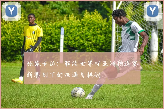 独家专访：解读世界杯亚洲预选赛新赛制下的机遇与挑战