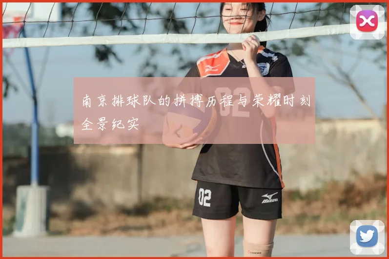 南京排球队的拼搏历程与荣耀时刻全景纪实