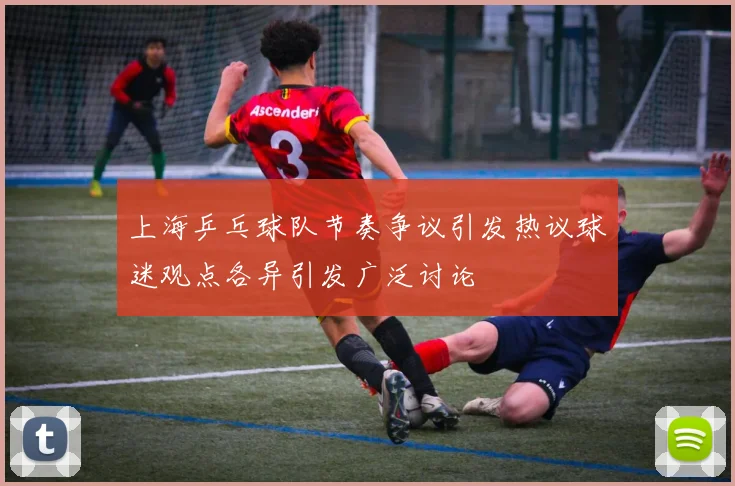 上海乒乓球队节奏争议引发热议球迷观点各异引发广泛讨论