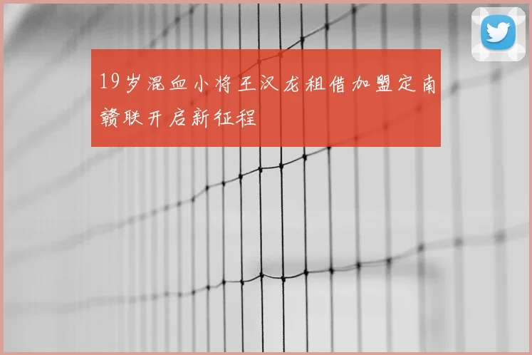 19岁混血小将王汉龙租借加盟定南赣联开启新征程